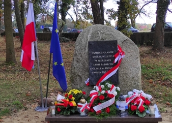 Pomnik pamięci Polaków walczących w armiach zaborców
