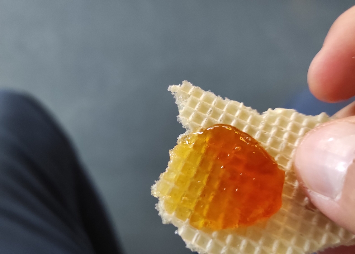 Warsztaty pszczelarskie w Centrum Nauki i Techniki EC1