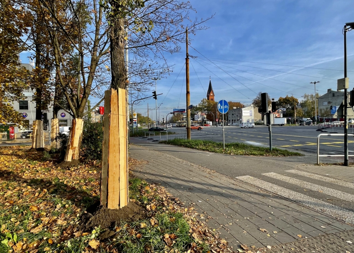 Nowa organizacja ruchu na Dąbrowie