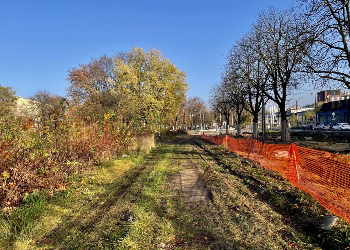 Kary dla wykonawcy modernizacji Placu Wolności i Północnej
