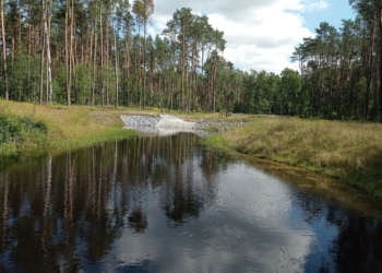 Las Kolumna