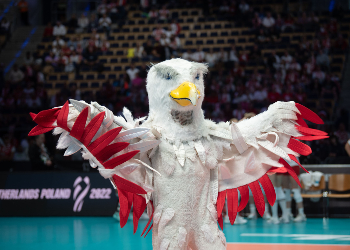 Doping kibiców podczas meczu Polska-Serbia