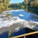 Gruba warstwa piany na Prośnie. Pobrano próbki wody do badań 6 Gruba warstwa piany na Prośnie w Wieruszowie