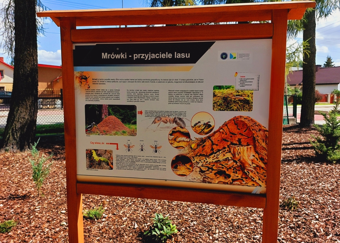 Leśne Obserwatorium przy SP nr 8 w Radomsku