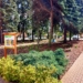 Leśne Obserwatorium przy SP nr 8 w Radomsku