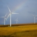 Tauron wybudował nową farmę wiatrową - Piotrków. Zaspokoi potrzeby energetyczne 35 tys. gospodarstw domowych 7 Tauron wybudował farmę wiatrową pod Piotrkowem
