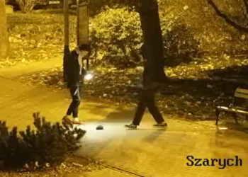 Nastolatkowie znęcali się nad jeżem w Pabianicach