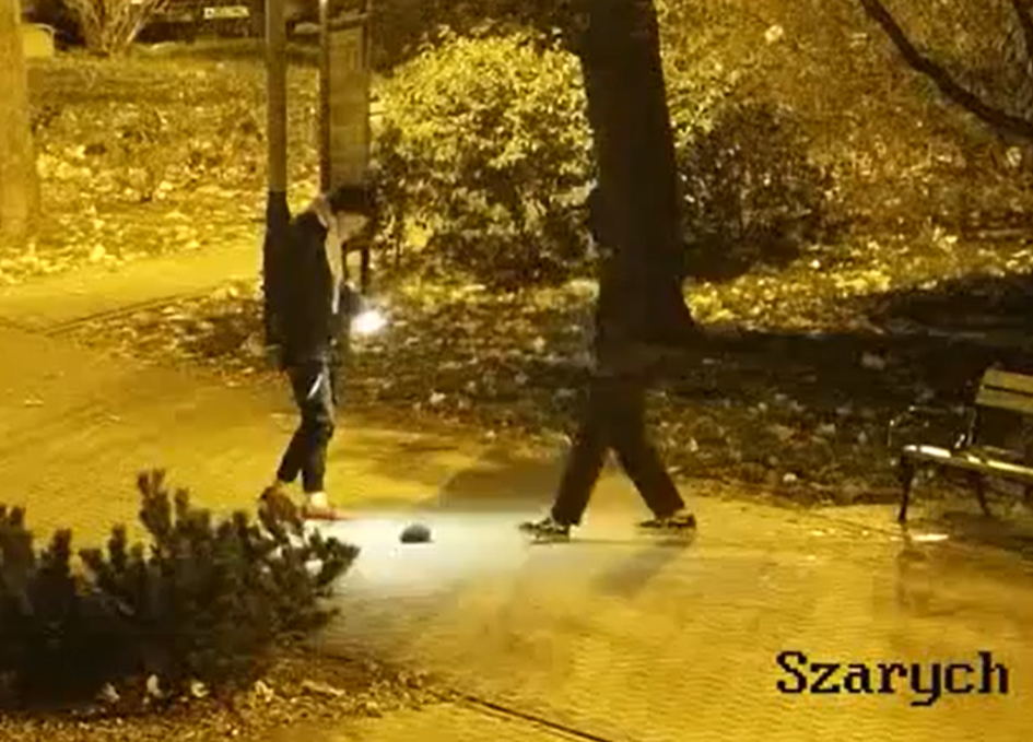 Nastolatkowie znęcali się nad jeżem w Pabianicach