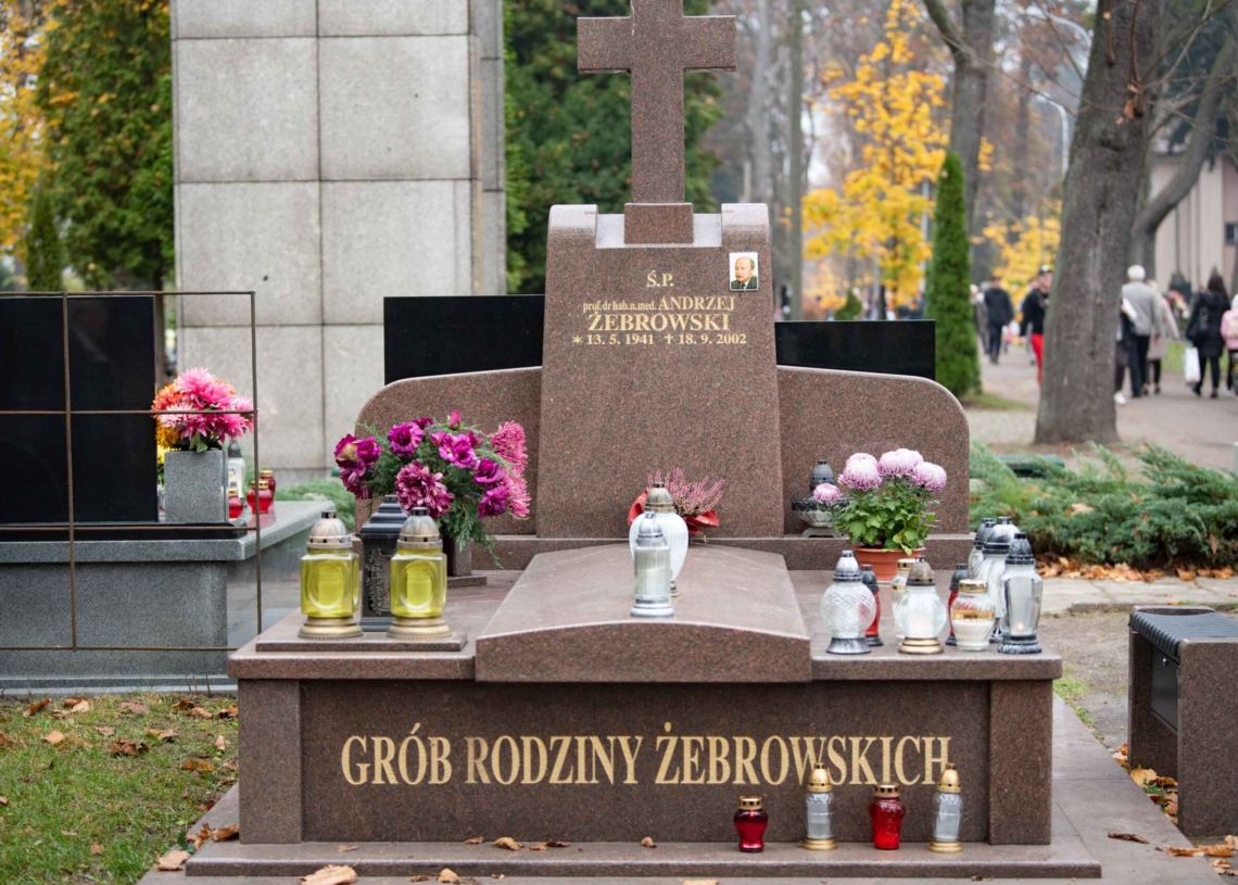 Groby w Alei Zasłużonych