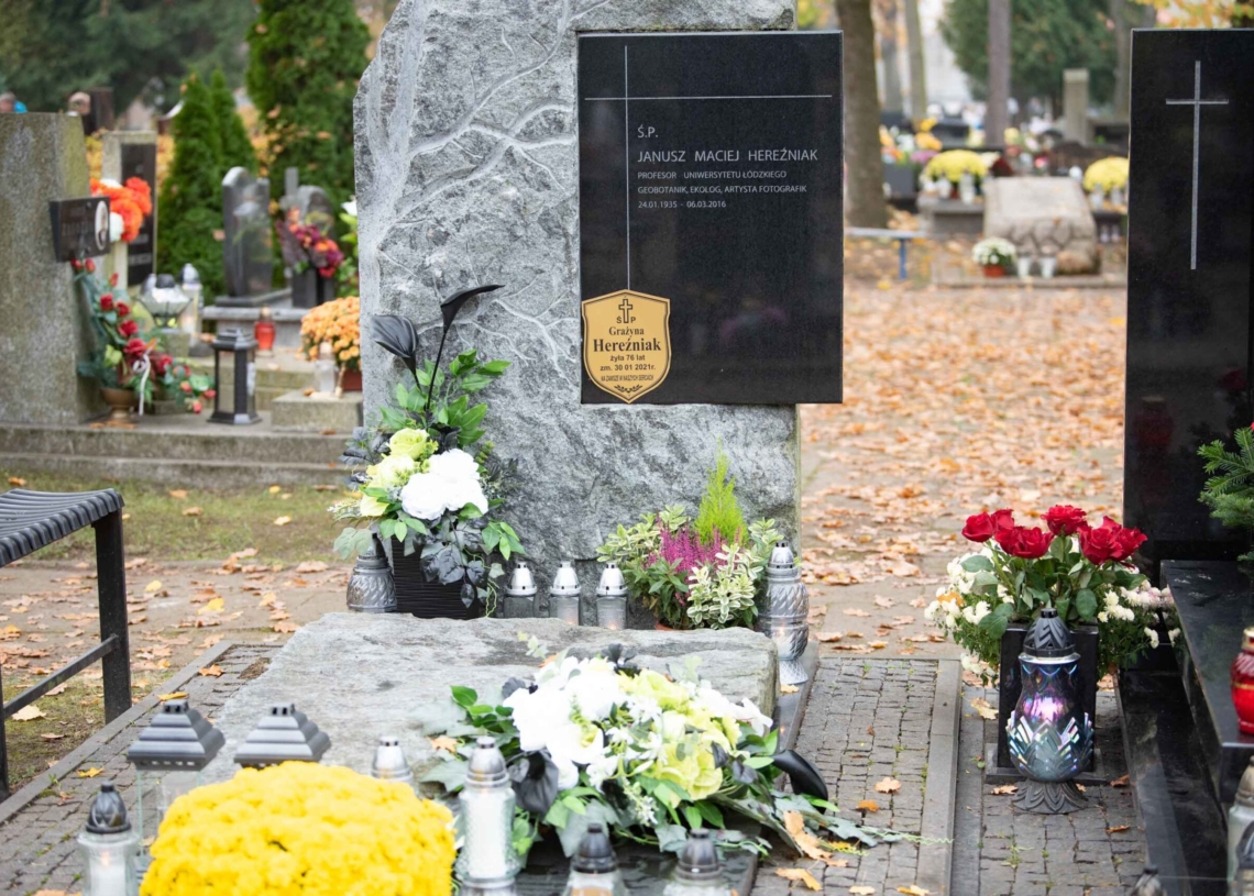 Groby w Alei Zasłużonych