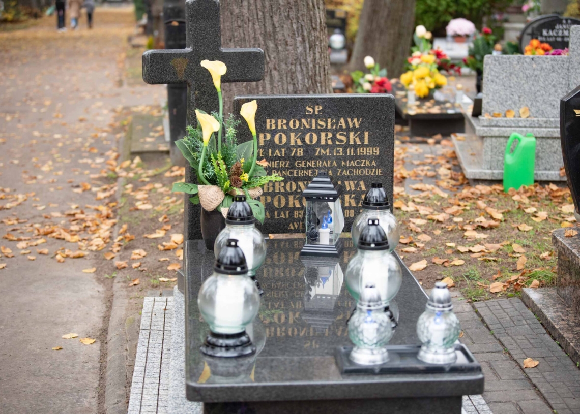 Groby w Alei Zasłużonych
