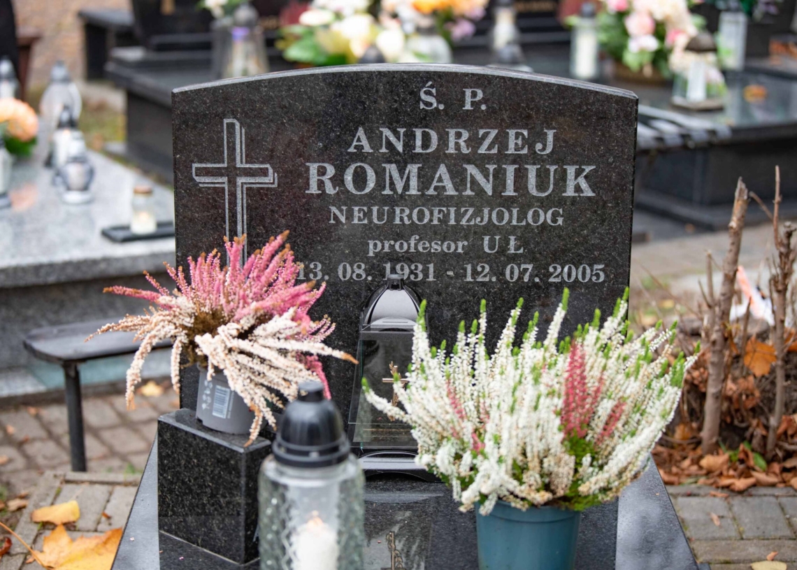 Groby w Alei Zasłużonych