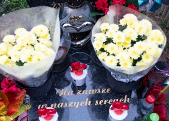 Cmentarze dla zwierząt