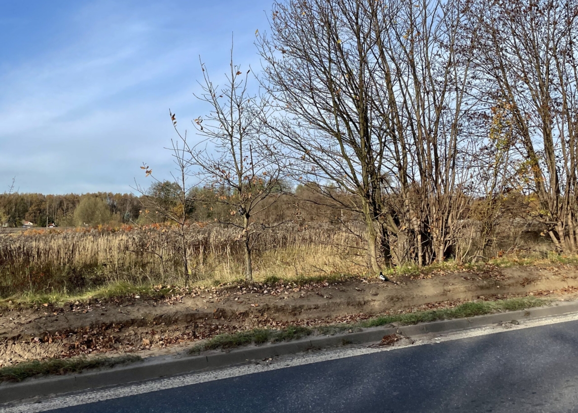 Modernizacja torowiska do Konstantynowa. Rozbiórki postępują bardzo szybko. Tramwaj ma pojechać w sierpniu 2023 r.