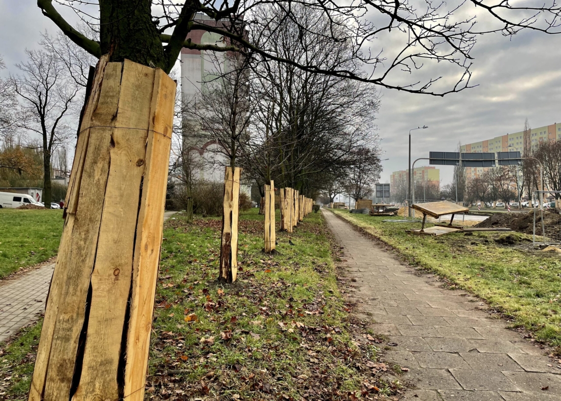 Modernizacja Śmigłego-Rydza