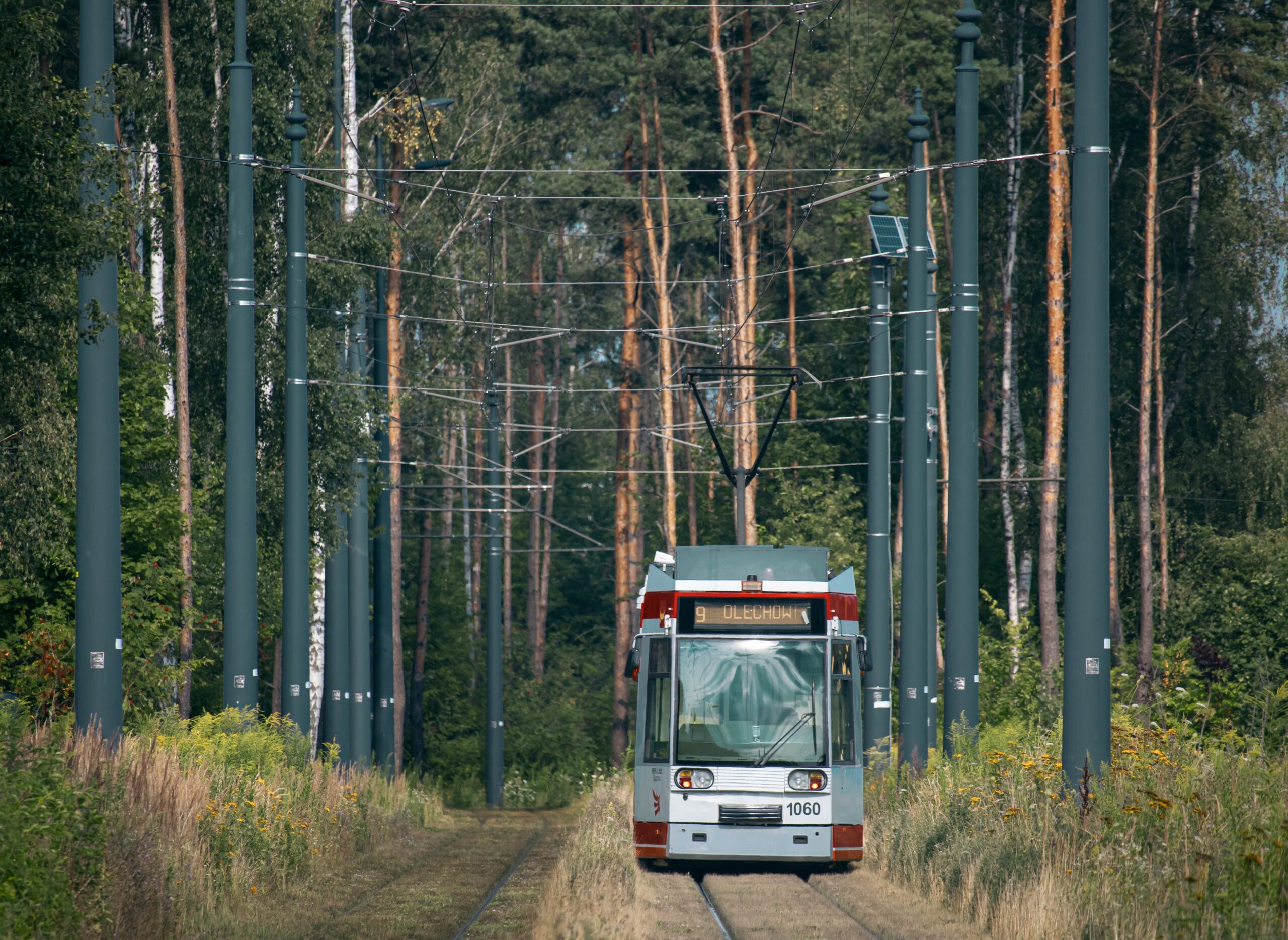 Zderzenie z tramwajem na Hetmańskiej