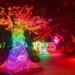 "Alicja w Krainie Czarów" rozświetli Łódź. Park Miliona Świateł wraca do ZOO 7 Park Miliona Świateł