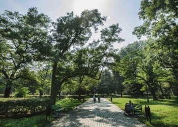 Park Staromiejski