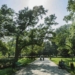 Park Staromiejski