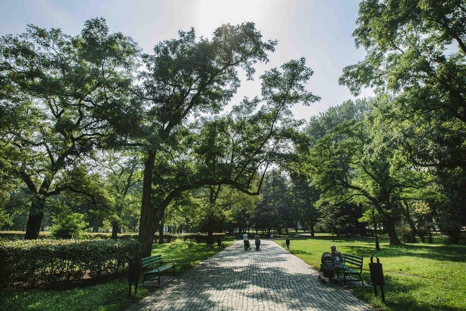 Park Staromiejski