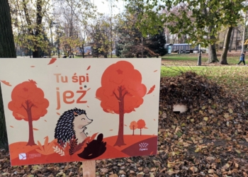 Międzynarodowy Dzień Jeża 2022 - Tu śpi jeż