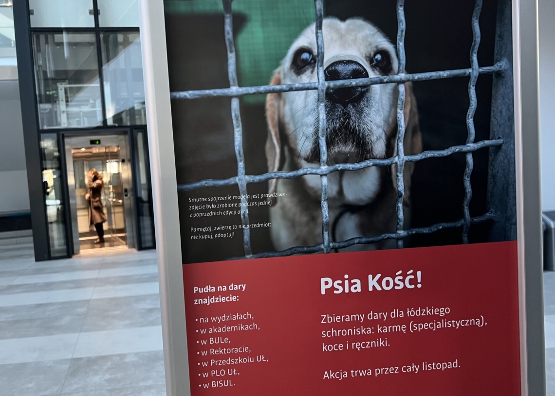 2025-05-22 | Muminki w Łodzi. Co znajdziemy na nowej wystawie Muzeum Kinematografii?