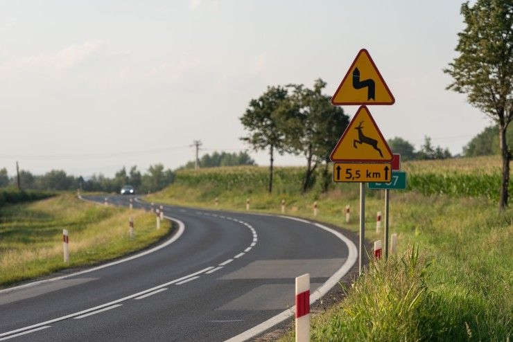 Uwaga kierowcy. Coraz więcej zwierząt na drogach 1 Uwaga zwierzęta na drodze - znak drogowy