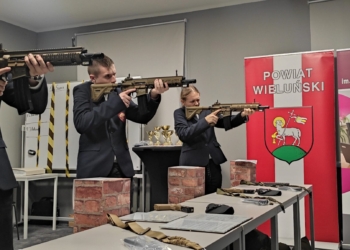 Wirtualna strzelnica laserowa