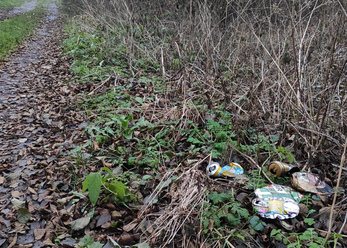 Myśliwi zaśmiecają lasy w czasie polowań?