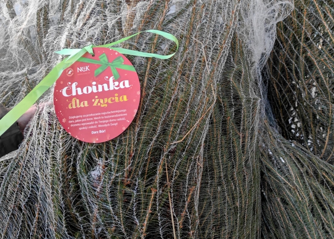 Choinka dla życia