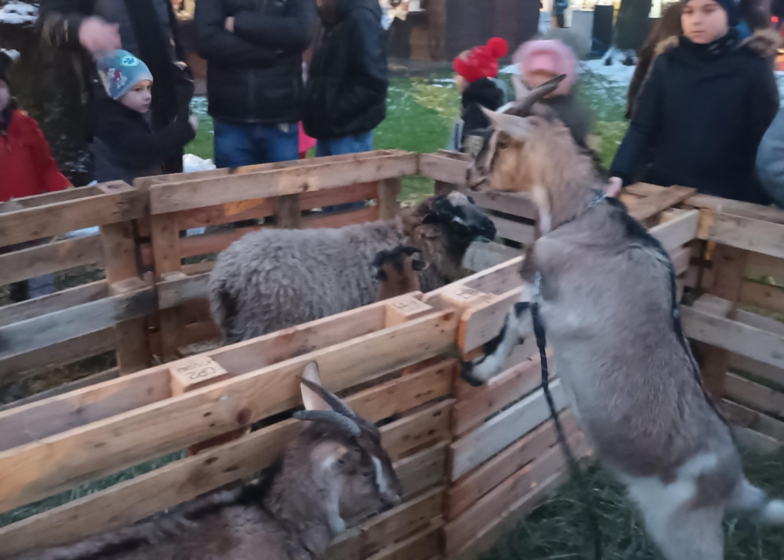 Jarmark Świąteczny w Rawie Mazowieckiej