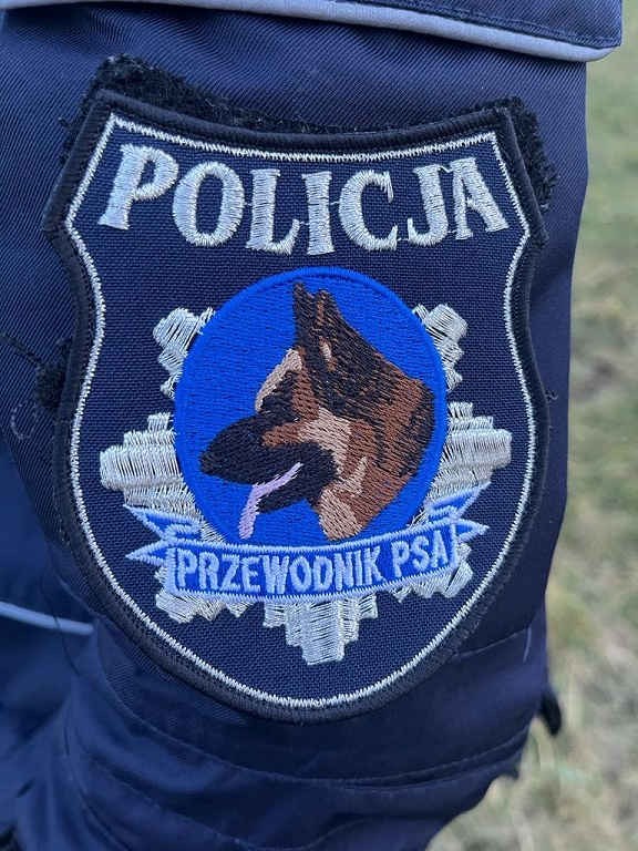 Dwuletni Nero wstąpił w szeregi policji. Zadaniem owczarka niemieckiego będzie m.in. zabezpieczanie meczów piłkarskich i innych imprez masowych