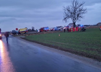 Wypadek w miejscowości Zawady w powiecie sieradzkim. 3 osoby poszkodowane