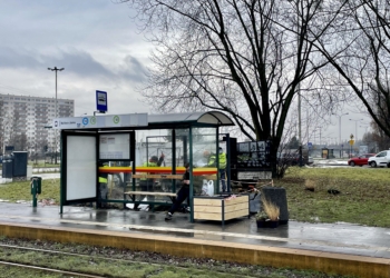 zielone przystanki