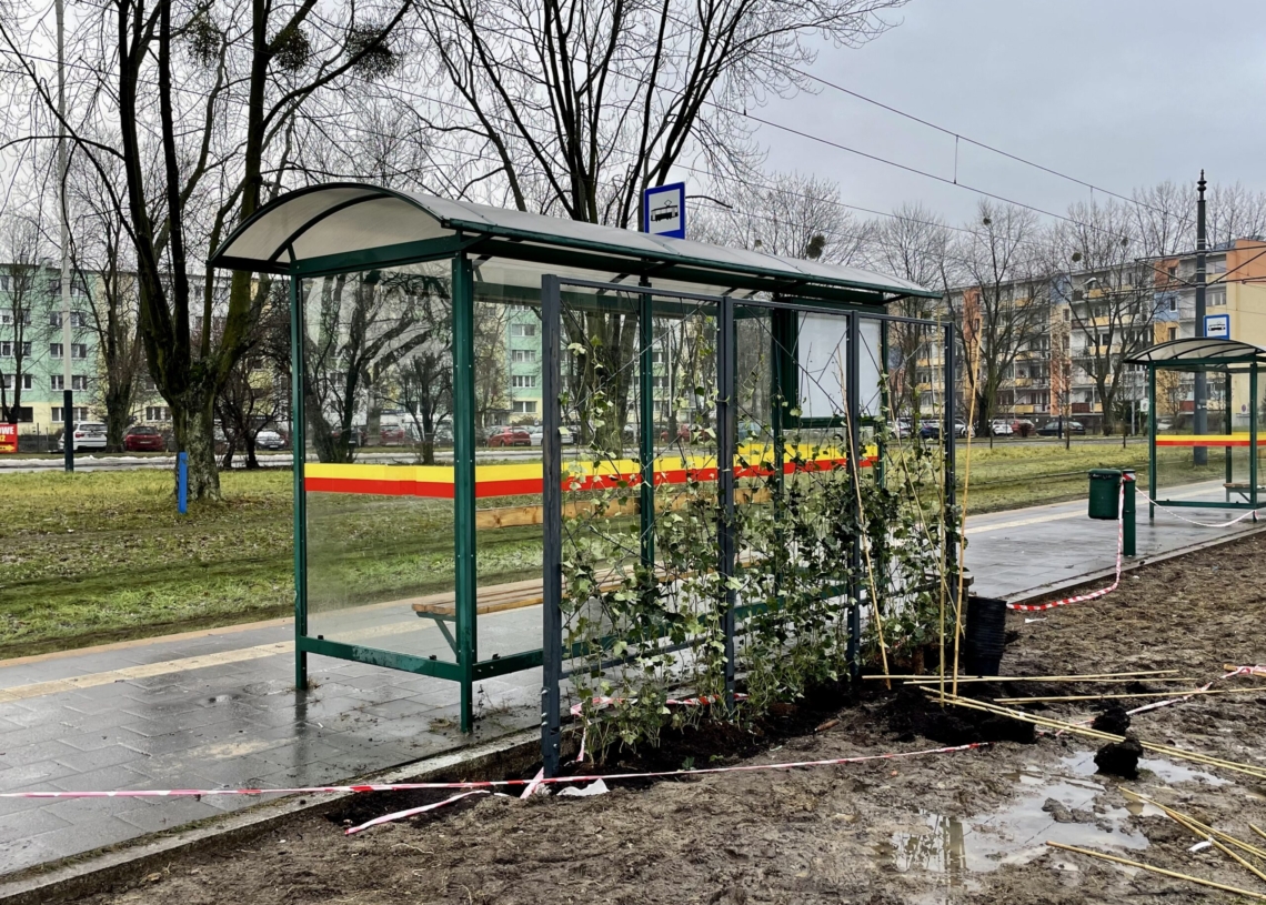 Zielone przystanki uzbrojone w skrzynki, trejaże i wiatę z dachem pokrytym rozchodnikami