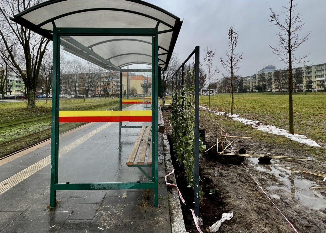 Zielone przystanki uzbrojone w skrzynki, trejaże i wiatę z dachem pokrytym rozchodnikami