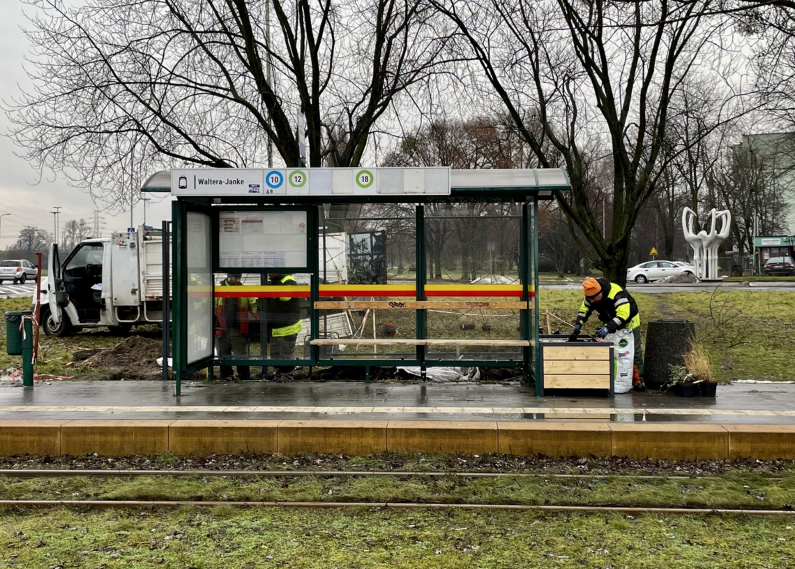 Zielone przystanki uzbrojone w skrzynki, trejaże i wiatę z dachem pokrytym rozchodnikami
