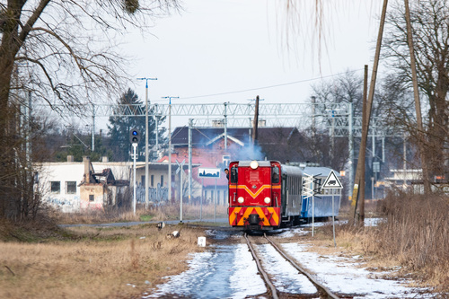 Prace remontowe na trasie Rogowskiej Kolei Wąskotorowej
