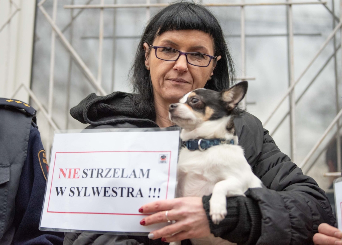 Nie strzelaj w Sylwestra