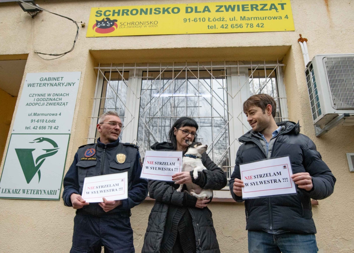Nie strzelaj w Sylwestra