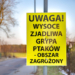 Ptasia grypa w gminie Błaszki 6 Kontrole gospodarstw ze względu na ogniska ptasiej grypy w gminie Wróblew