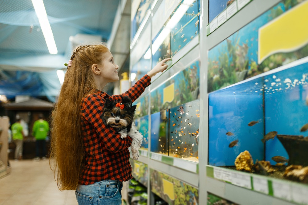 girl looking on fishes in aquarium pet
