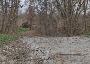 Mieszkańcy osiedla Dziewiarz w Sieradzu walczą o bezpieczne zejście nad rzekę Wartę