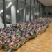 Podziel się Wigilią. Świąteczne paczki otrzymało już blisko 8 tys. potrzebujących dzieci 6 Podziel się Wigilią