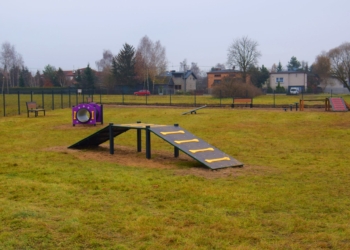 place zabaw dla zwierząt
