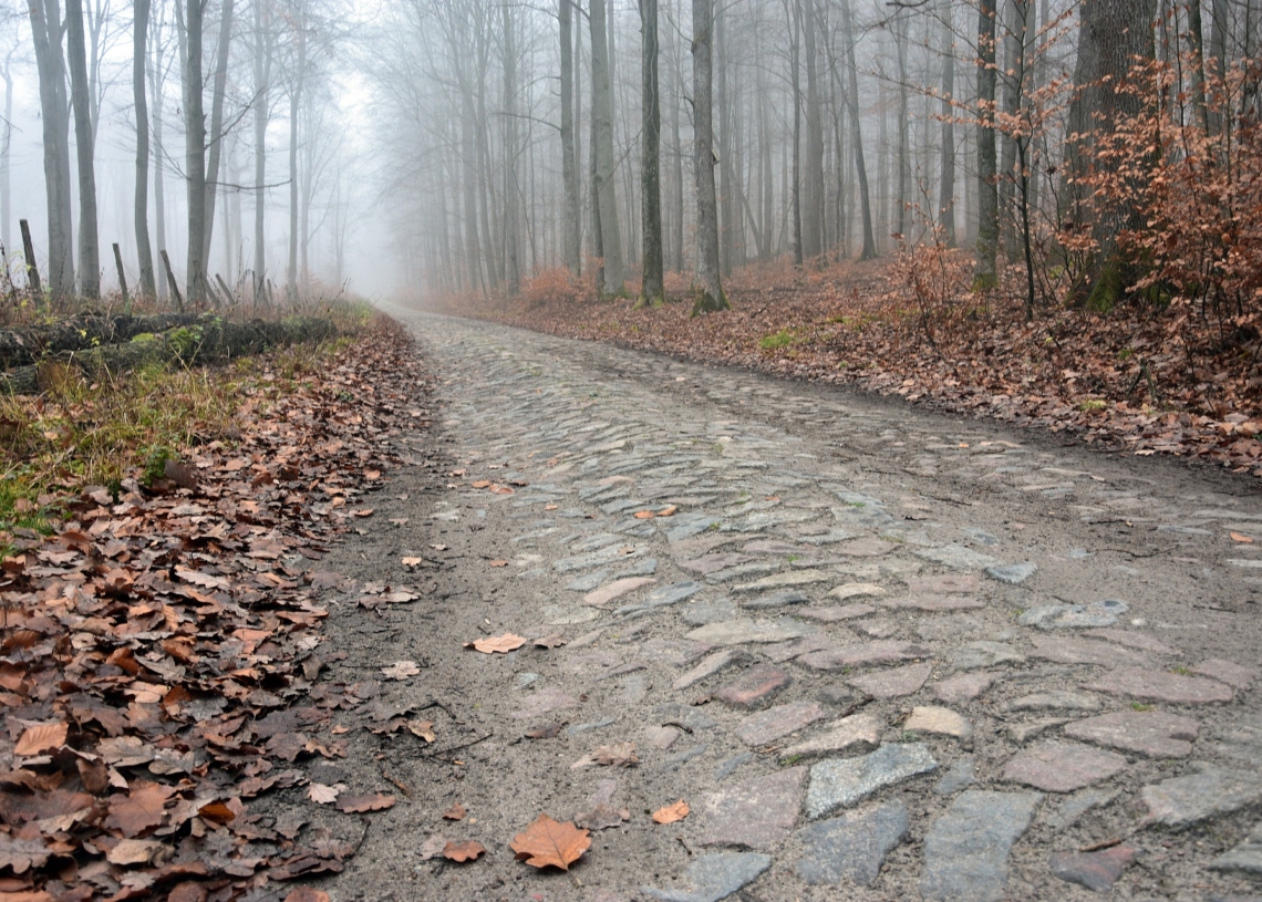 Pogoda na czwartek (1 grudnia). Trochę cieplej niż na początku tygodnia 1 Pogoda na czwartek