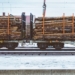 Jak przebiega i ile kosztuje transport drewna? 8 Jak przebiega i ile kosztuje transport drewna?