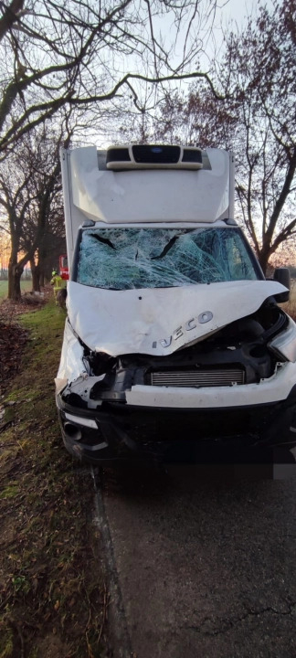 Wypadek w Małej Wsi pod Radomskiem. Łoś wbiegł pod samochód dostawczy 1 Wypadek w Małej Wsi pod Radomskiem