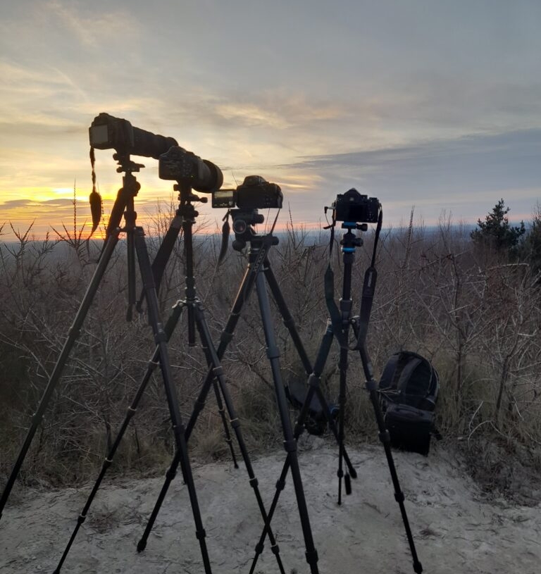 Tatry widoczne z Góry Kamieńsk