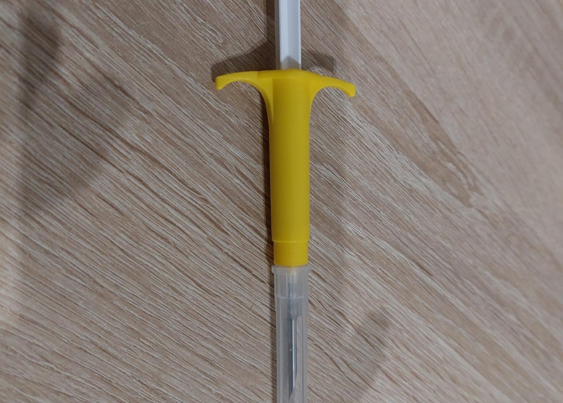 Czip dla psa